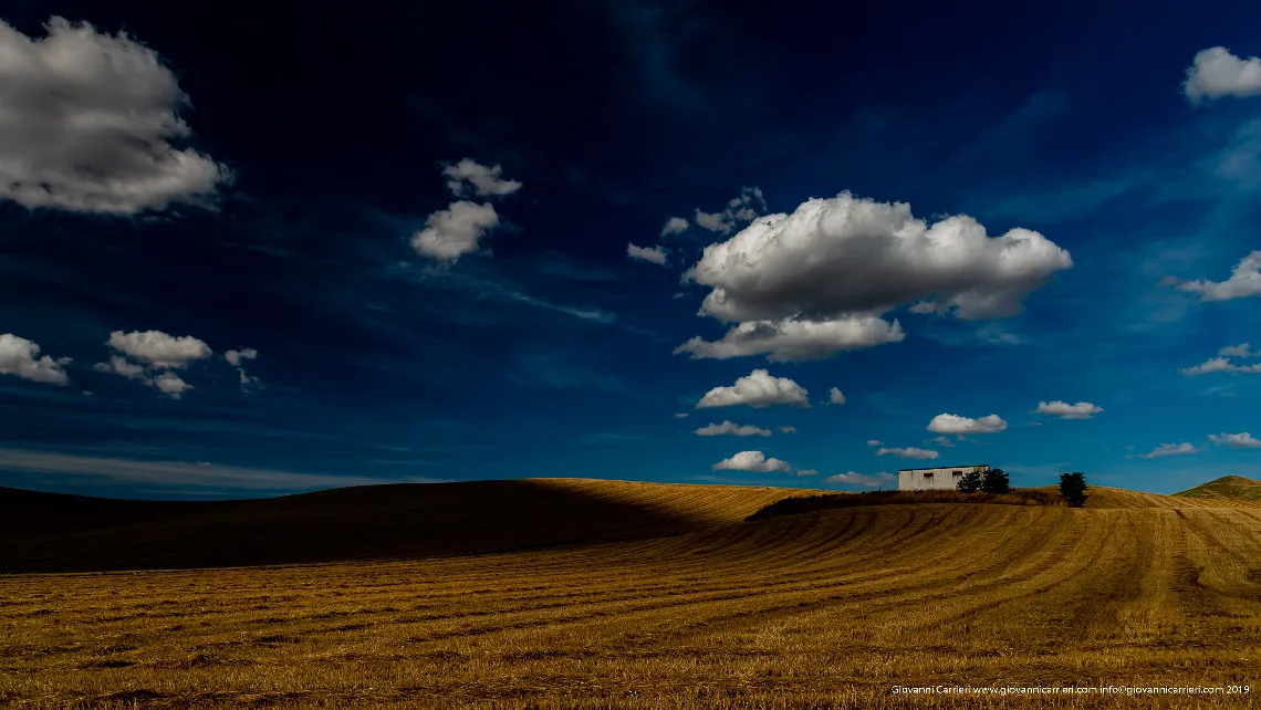 A stable surrounded by wheat fields