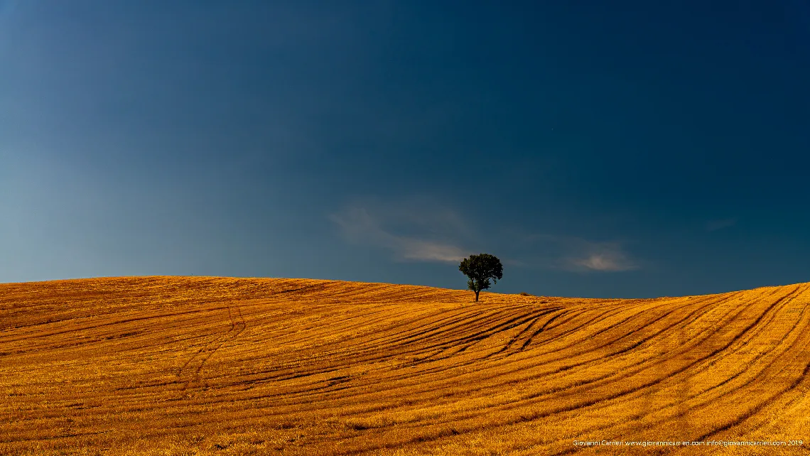 National park Alta Murgia