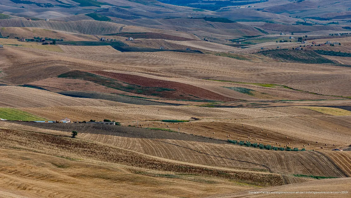The sinuosity of the landscape