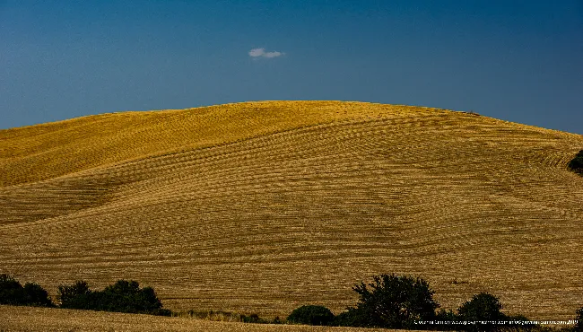 Collina nei pressi di Montescaglioso