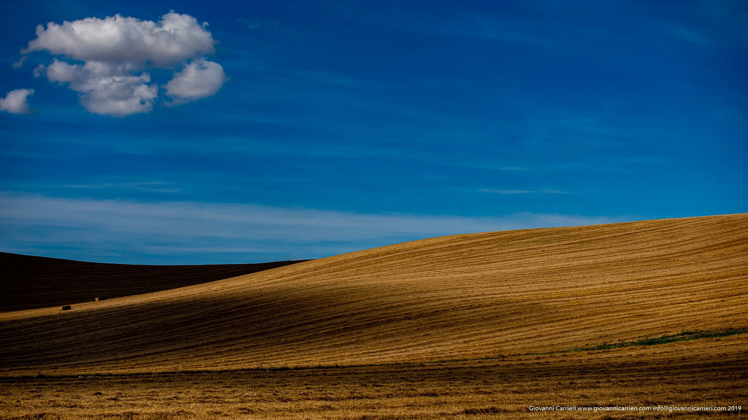 Le Ondulazioni Dorate dei Campi di Grano, Genzano di Lucania