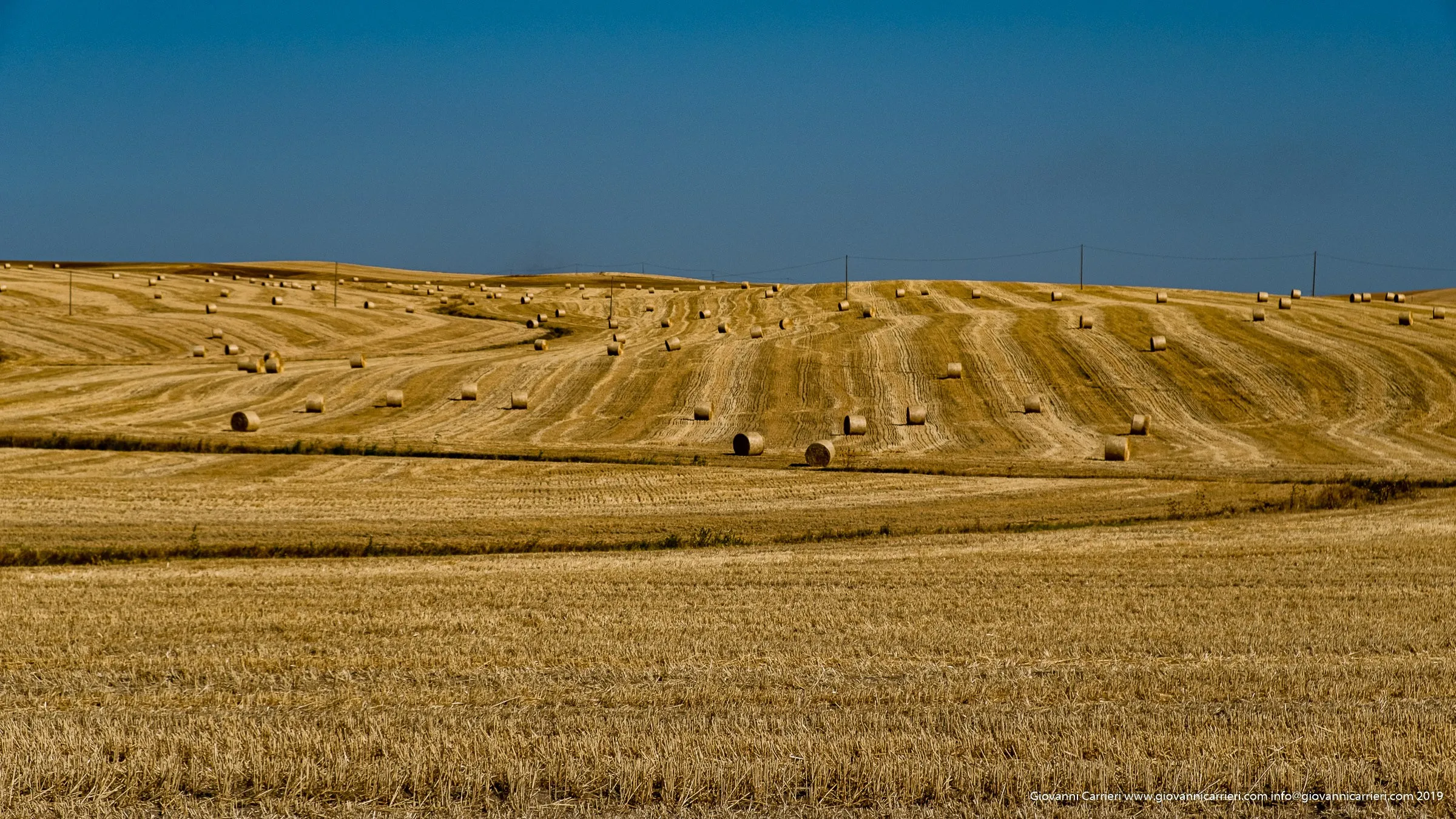 Distesa di Rotoballe sulla Murgia Materana, Santeramo