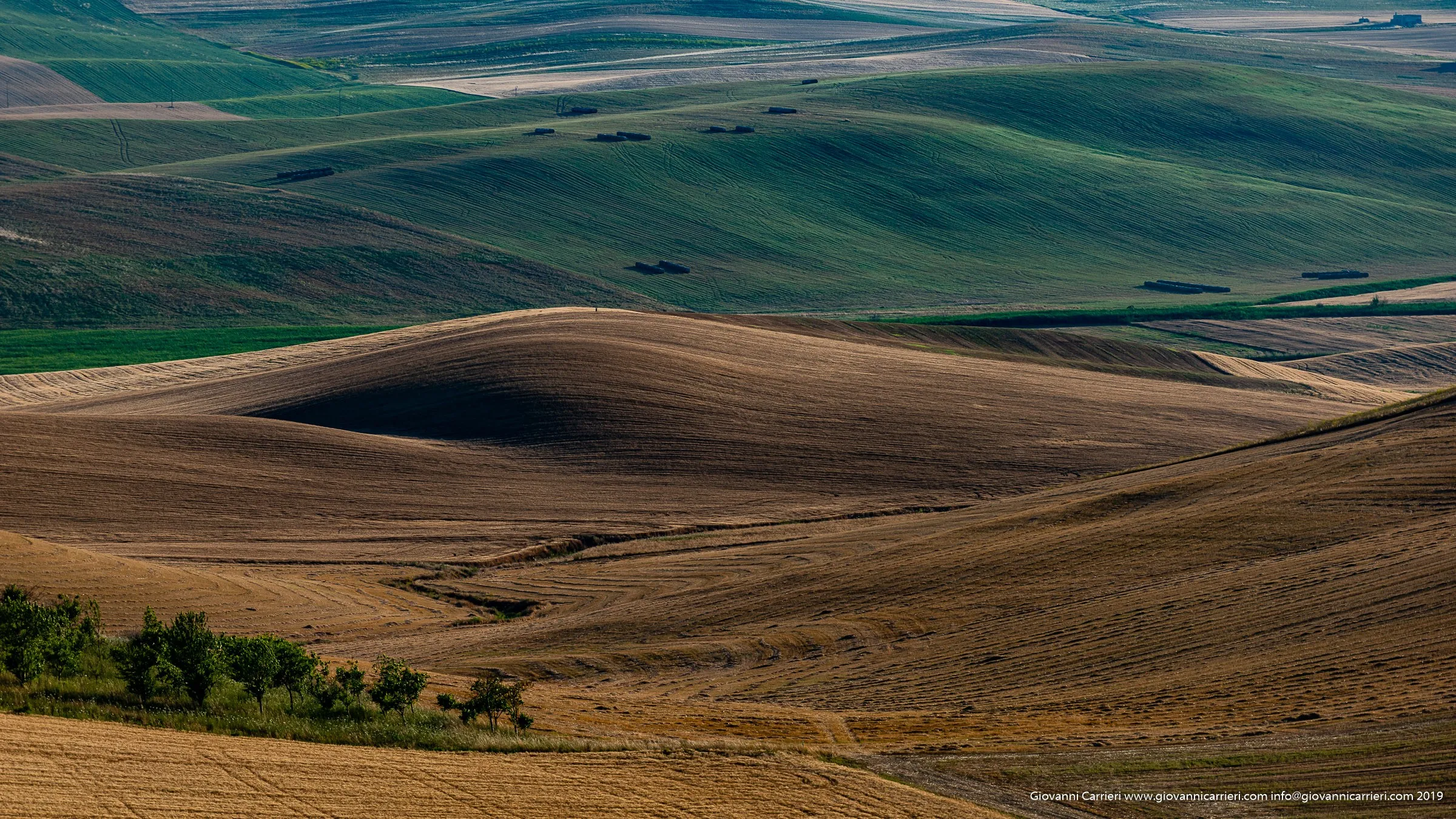 Vista Panoramica dal Castello di Monteserico, Genzano di Lucania