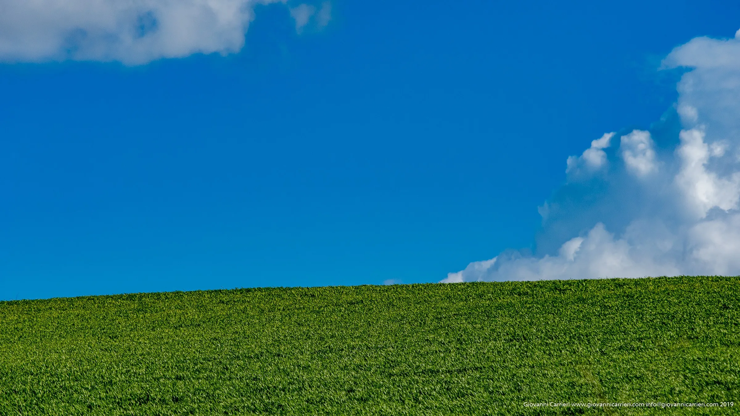 Verde Intenso dei Prati Primaverili, Corato