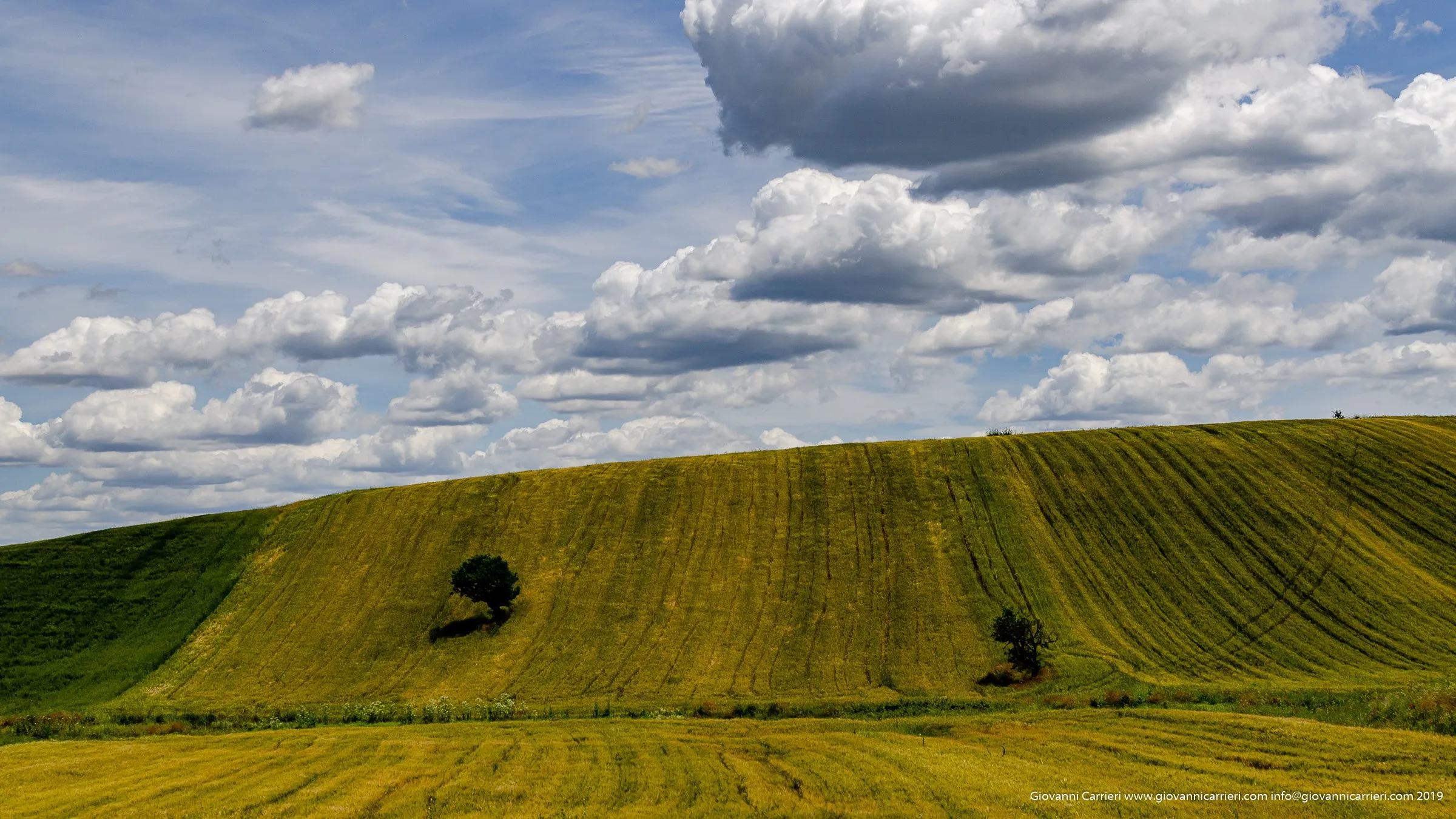 Colline Striate di Verde e Giallo, Gravina in Puglia