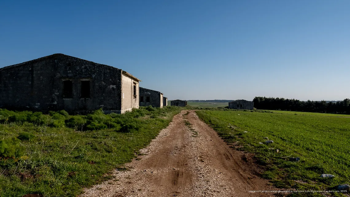 A sheep trail on Mount Caccia