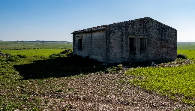 Il panorama dell'Alta Murgia visto dal monte Caccia