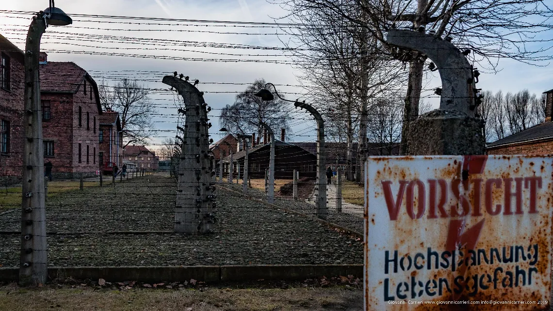 Barbed wire - Auschwitz