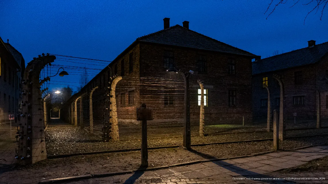 Road for dogs - Auschwitz