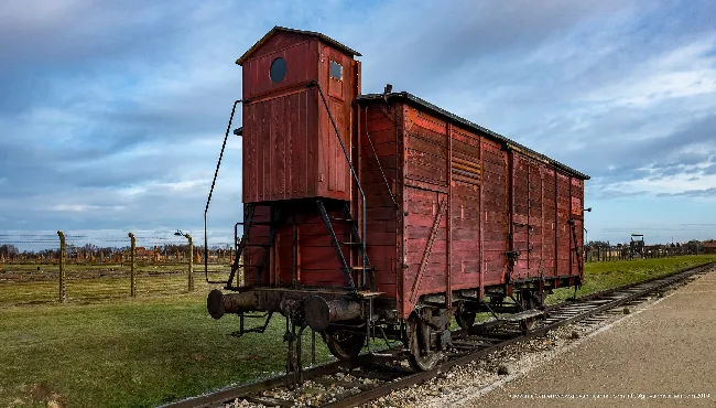 Se le pietre potessero parlare