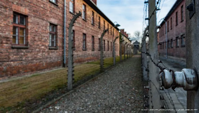 Barbed wire electrical - Auschwitz