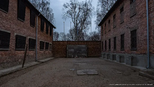 Murder - Auschwitz