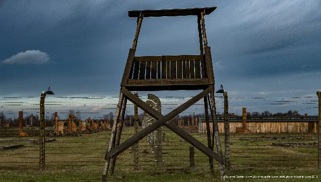 No freedom - Auschwitz