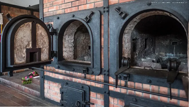 Buchenvald ovens