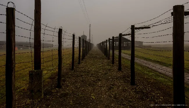 Barbed-wire double-fence on the Majdanek camp perimeter