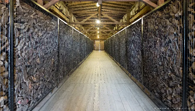 Majdanek's victims' shoes