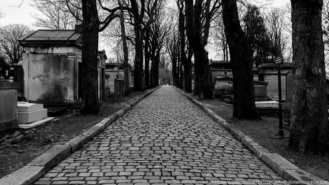 The streets and the trees of the Père-Lachaise