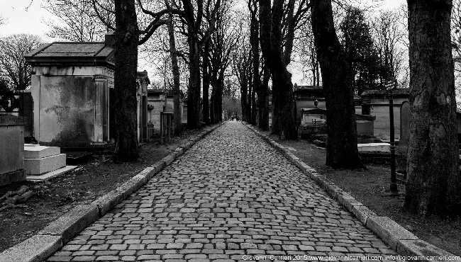 The streets and the trees of the Père-Lachaise