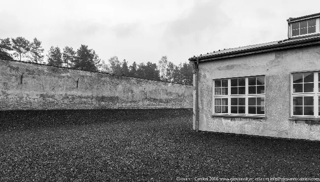 Camp wall and the factory TexLed