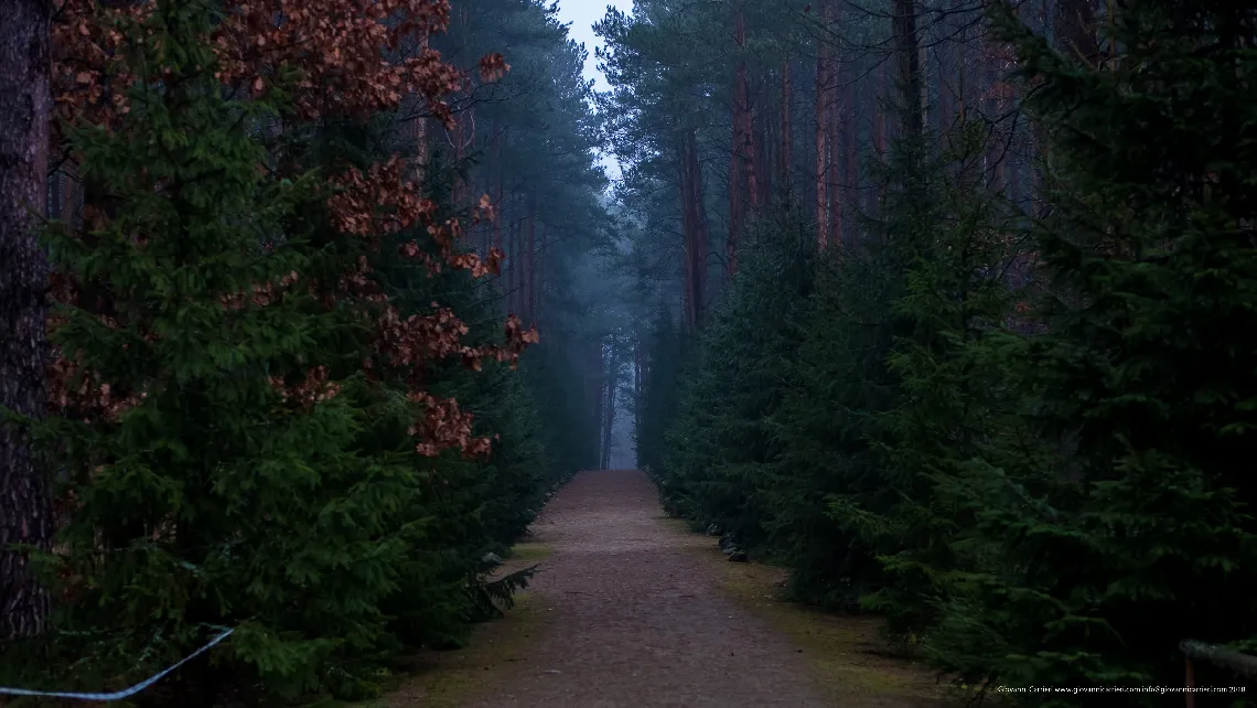 "La strada verso il paradiso" 