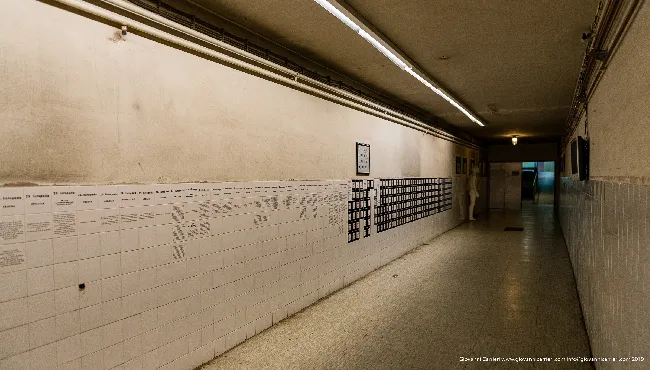 The memory day by day. Hospital Vukovar