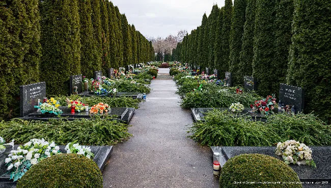 The graves in the Vukovar cemetery of the hospital patients slaughtered in the massacre at Ovcara - Vukovar