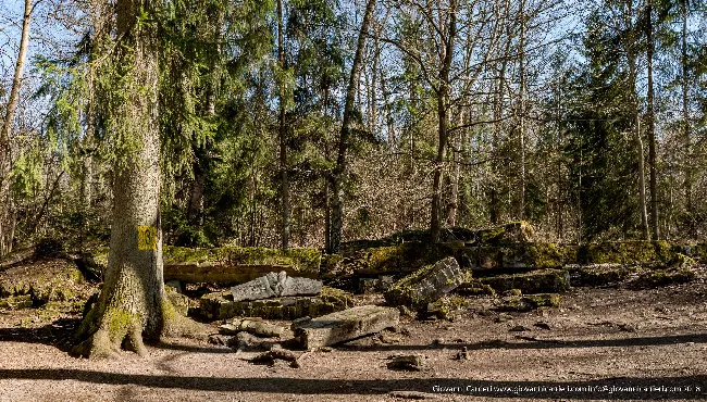 I resti della sala conferenze luogo in cui avvenne l'attentato organizzato da Stauffenberg
