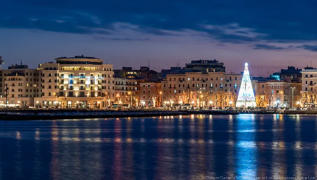 Giannella wide and the Christmas tree, Bari