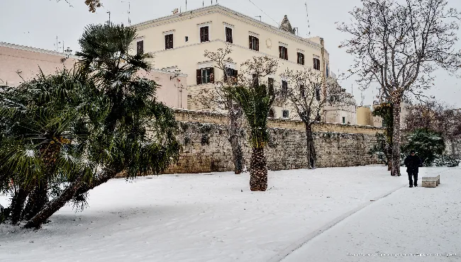 La muraglia innevata, Bari