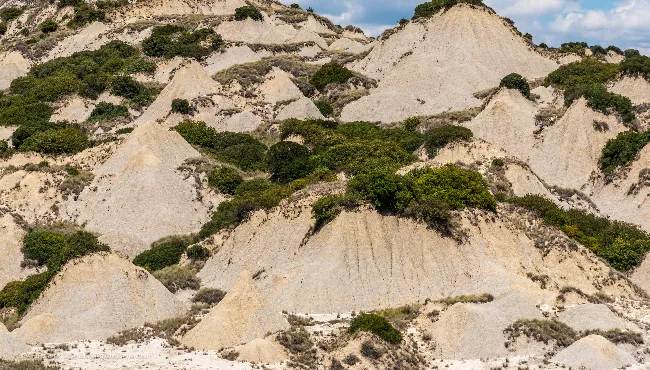 Dettaglio dei Calanchi di Aliano