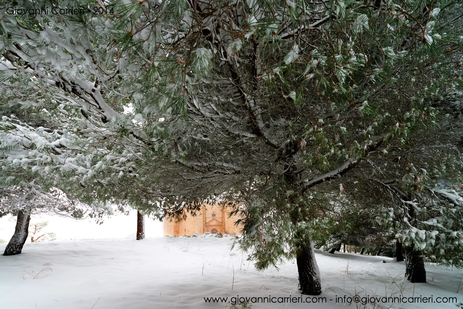 Il castello di Federico II tra alberi e neve - Castel del Monte