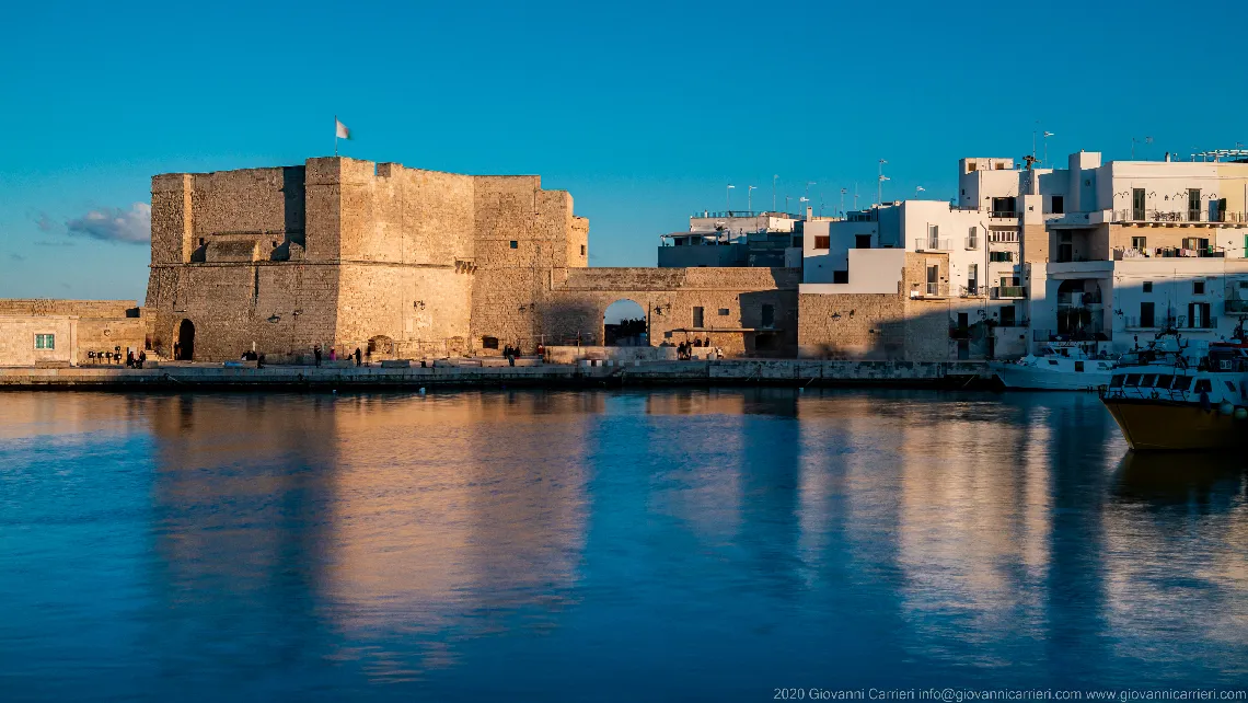 The Castle of Charles V