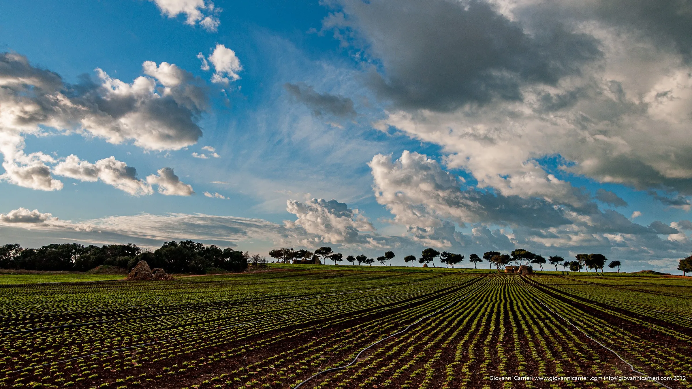 View of the countryside near San Vito - village of Polignano a Mare