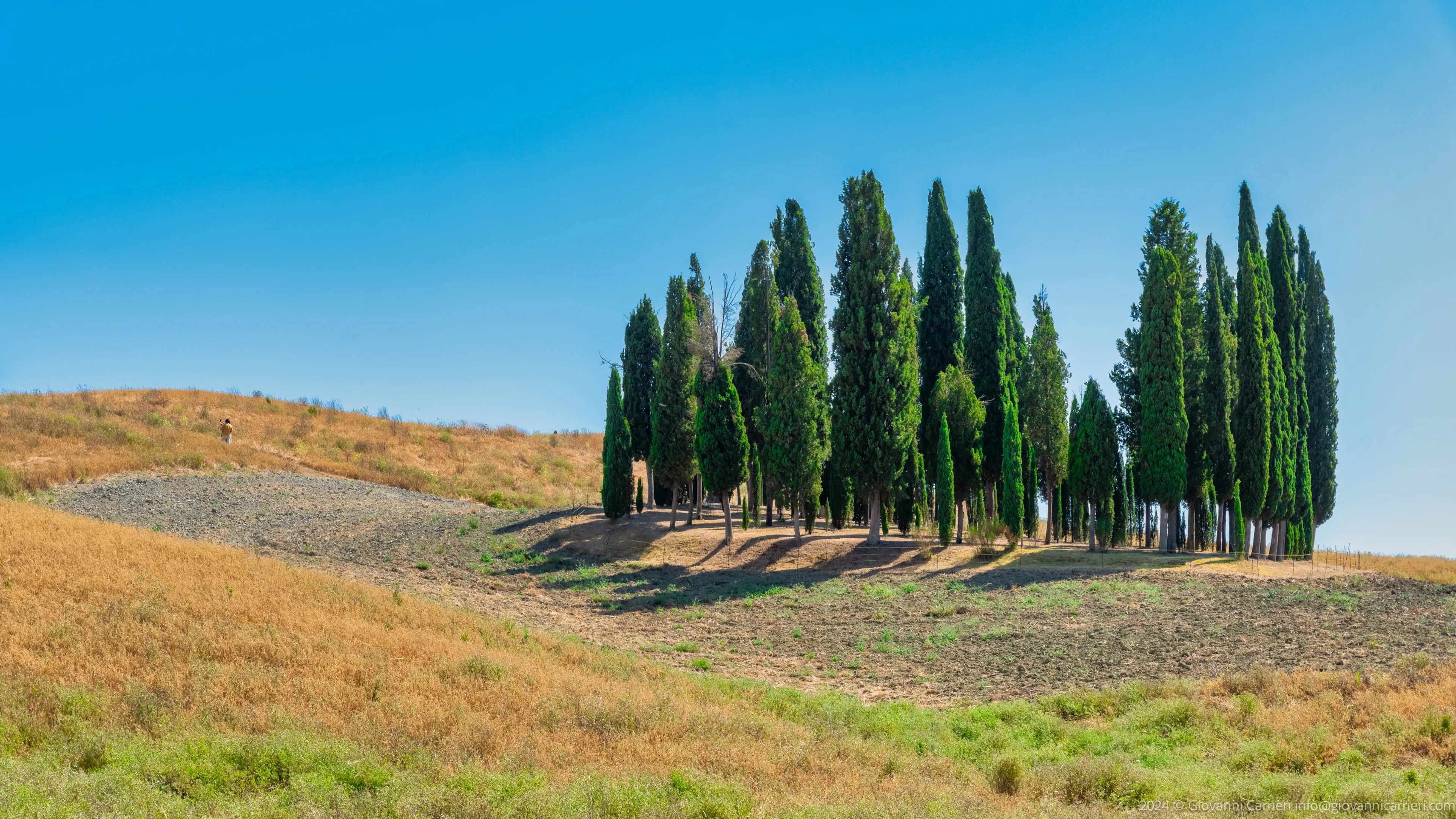 The cypress trees of San Quirico d'Orcia: a Tuscan symbol