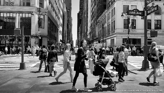 Manhattan Fifth Avenue