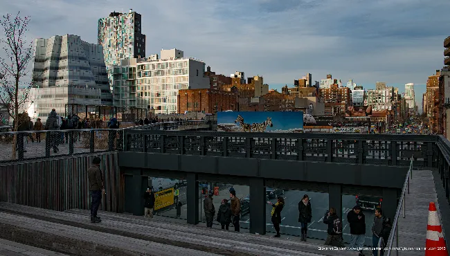 High Line Park: La Ferrovia Sopraelevata Trasformata in Giardino Urbano