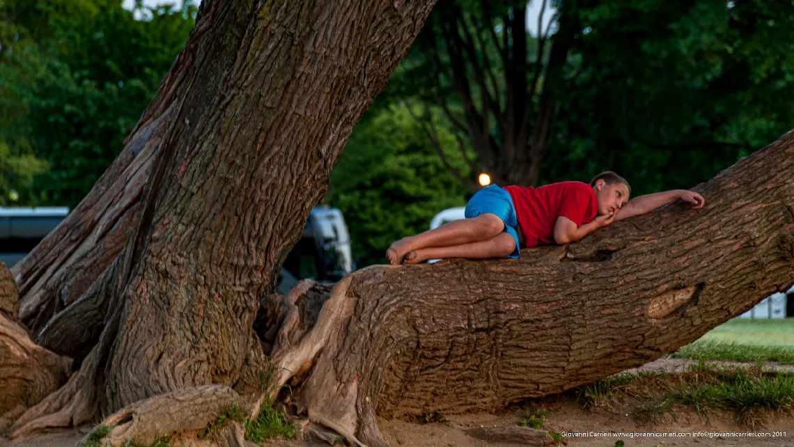Relax sull'albero