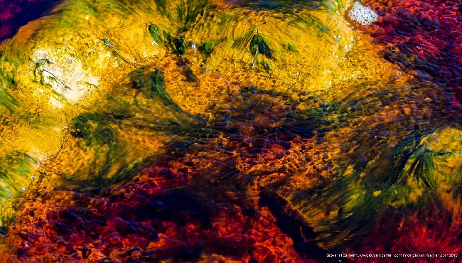 Red an Green at Rio Tinto